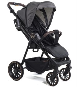Прогулочная коляска Bebizaro Traveller BD211 (BZBE/02) Graphite 1087489653 - фото 100848