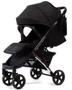 Прогулочная коляска Peppy Polo 2.0 Silver black хром рама, сумка 158957232 - фото 102068