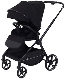 Детская прогулочная коляска Rant Moss Black 1620018097 - фото 102502