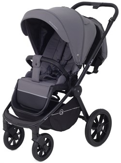 Детская прогулочная коляска Rant Flex RA078 Graphite 761096527 - фото 104312