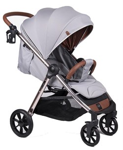 Детская прогулочная коляска Coletto Jazzy Rose Grey 656819026 - фото 106014