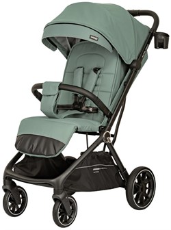 Детская прогулочная коляска Indigo Wind зеленый 1342914108 - фото 111518