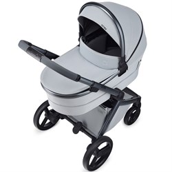 Детская коляска Anex l/type 2 в 1 с аксессуарами frost 945557813 - фото 20624