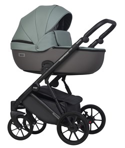 Детская коляска Riko Basic Montana Ecco 2 в 1 30 Green-Grey 1467586145 - фото 22156