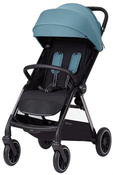 Прогулочная коляска Carrello Delta CRL-5517 Sky Blue 1095888009 - фото 94431