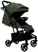 Прогулочная коляска Peppy Aero Oliva green оливковый 2112799761
