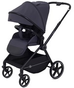 Детская прогулочная коляска Rant Moss Graphite 1691718677