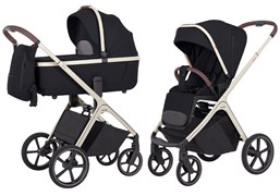 Коляска 2 в 1 Carrello Vector CRL-6550 Pearl Black 1822253552