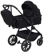 Детская коляска Rant Moss 2 в 1 Black 533865535