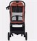 Детская прогулочная коляска Rant Lumos Maroon Brown 1795036218 - фото 100030