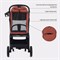 Детская прогулочная коляска Rant Lumos Maroon Brown 1795036218 - фото 100038