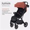 Детская прогулочная коляска Rant Lumos Maroon Brown 1795036218 - фото 100043