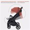 Детская прогулочная коляска Rant Lumos Maroon Brown 1795036218 - фото 100045