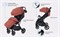 Детская прогулочная коляска Rant Lumos Maroon Brown 1795036218 - фото 100047