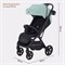 Детская прогулочная коляска Rant Lumos Sage Green 1606252950 - фото 100068