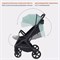 Детская прогулочная коляска Rant Lumos Sage Green 1606252950 - фото 100070