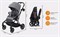 Детская прогулочная коляска Rant Ace Grey 2097041352 - фото 100262