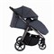 Детская прогулочная коляска Pituso Emma Graphite/Графит 1874523259 - фото 100664