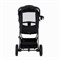 Детская прогулочная коляска Pituso Emma Black/Черный 1039525989 - фото 100687