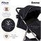 Детская прогулочная коляска Pituso Emma Black/Черный 1039525989 - фото 100693