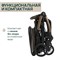 Коляска прогулочная Chicco XPlus Bronze Lizard Re Luxe 1740834134 - фото 100979