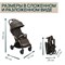 Коляска прогулочная Chicco XPlus Bronze Lizard Re Luxe 1740834134 - фото 100981