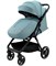 Детская прогулочная коляска Pituso Camino Plus Nova Green 1292389555 - фото 101284