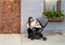 Прогулочная коляска UPPAbaby MINU V2 Greyson 775098474 - фото 101613