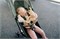 Прогулочная коляска UPPAbaby MINU V2 Gwen 128287685 - фото 101682