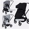 Детская прогулочная коляска Rant Moss Black 1620018097 - фото 102515