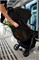 Прогулочная коляска Anex AIR-Z New Az-04-N Space 978453697 - фото 102728