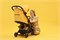 Детская прогулочная коляска Anex AIR-X Ax-04/L yellow 1161082482 - фото 103445