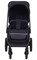Детская прогулочная коляска Rant Flex RA078 Black 923070021 - фото 103780
