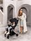 Прогулочная коляска AmaroBaby Voyager чёрный 56383832 - фото 103869