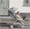 Прогулочная коляска Elodie Mondo 80820120193NA Pebble Green New 1241179747 - фото 103958