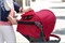 Прогулочная коляска Chicco Simplicity Plus Top Scarlet 1753594649 - фото 104203