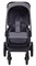 Детская прогулочная коляска Rant Flex RA078 Graphite 761096527 - фото 104318