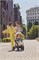 Прогулочная коляска Chicco Bellagio Amber Glow 1313061997 - фото 104495