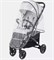 Детская прогулочная коляска Rant Life Ra104 Grey 305877839 - фото 104859