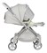 Коляска прогулочная Farfello Olivia O1s,серый 1861726075 - фото 105338