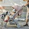 Прогулочная коляска Elodie Mondo 80820201151NA Blushing Pink New 1786112851 - фото 105382