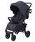 Детская прогулочная коляска Rant basic Vega RA105 Graphite 278509089 - фото 105901