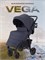 Детская прогулочная коляска Rant basic Vega RA105 Graphite 278509089 - фото 105902