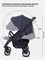 Детская прогулочная коляска Rant basic Vega RA105 Graphite 278509089 - фото 105905