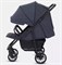 Детская прогулочная коляска Rant basic Vega RA105 Graphite 278509089 - фото 105915