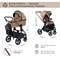 Детская коляска Sweet Baby Elegante 2 в 1 Chrome Brown 656363397 - фото 10596