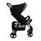 Прогулочная коляска Sweet Baby Rapido Dark Grey 645817067 - фото 106251
