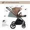 Детская коляска Sweet Baby Elegante 2 в 1 Chrome Brown 656363397 - фото 10646