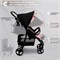 Прогулочная коляска Sweet Baby Rapido French Rose 1209995167 - фото 106673