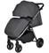 Детская прогулочная коляска Pituso Ruta PU BD206 Dark Grey 1092717770 - фото 106977